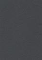 car grey